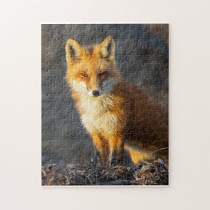 Little Red Fox Pussel