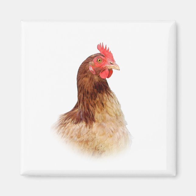 Little Red Hen Magnet (Framsidan)