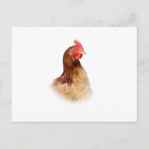 Little Red Hen-vykort Vykort