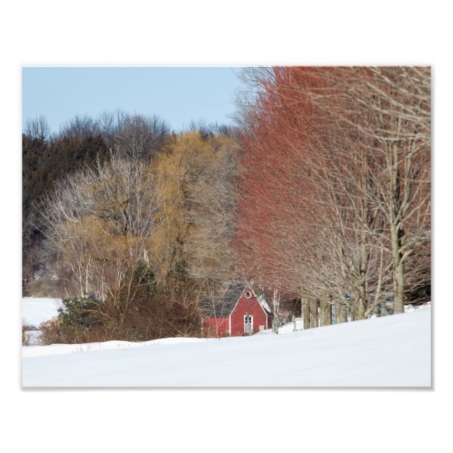Little Red House Fototryck (Framsidan)