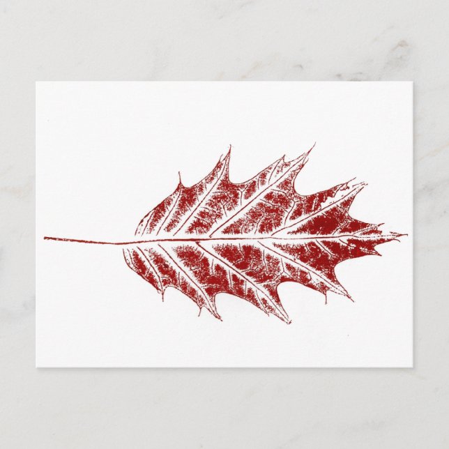 "Little Red Oak" vykort för Land-vägar (Framsida)