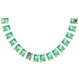 Little Red Riding Huva Fairytale Girls Birthday Vimplar