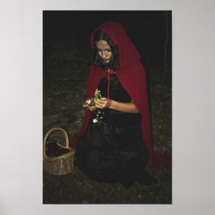 Little Red Riding Huva Gathering Flowers Poster