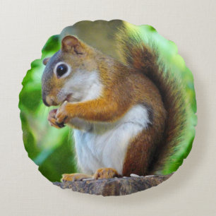 Little Red Squirrel Rund Kudde
