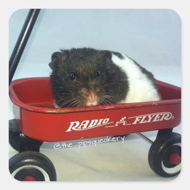 Little Red Wagon Fyrkantigt Klistermärke (Framsida)
