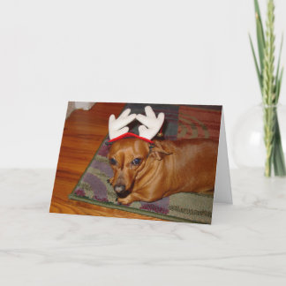 Little Reindeer Helgkort