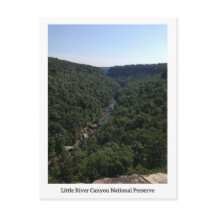 Little River Canyon Postcard 1