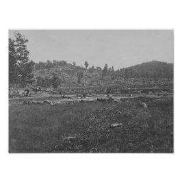 Little Round Top - 1863 Fototryck