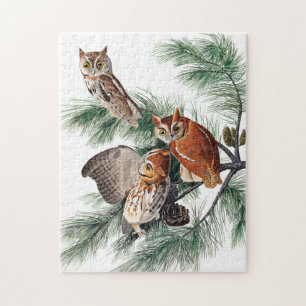 Little Screech Uggla av John James Audubon Pussel