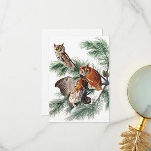 Little Screech Uggla av John James Audubon Tack Kort