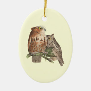 Little Screech Uggla (Bubo asio) Julgransprydnad Keramik