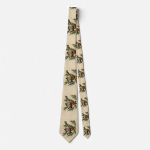 Little Screech Uggla från Audubon's Birds of Ameri Slips