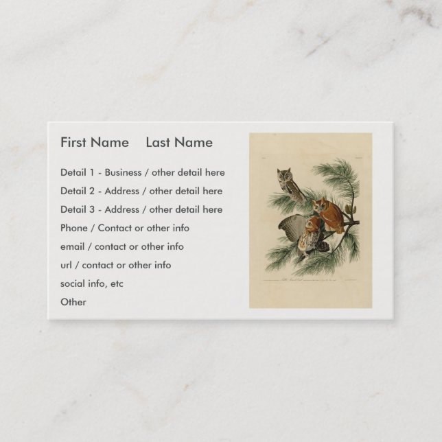 Little Screech Uggla från Audubon's Birds of Ameri Visitkort (Framsida)