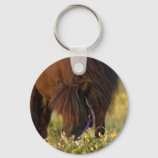 Little Sharni Shetland Pony Nyckelring (Framsida)