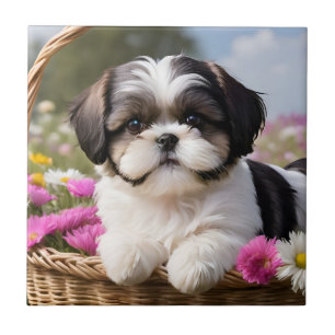 Little Shih Tzu Puppy Basket Flowers Kakelplatta