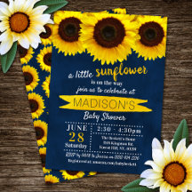 Little Solros Navy Blue Baby Shower