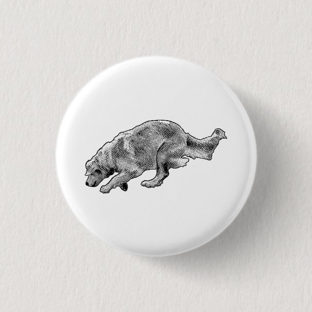 Little Speckled Burst Knapp (Framsida)