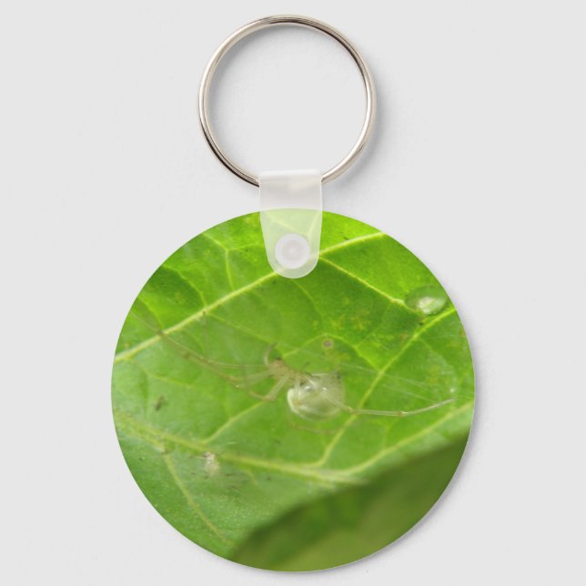 Little Spider Keychain Nyckelring (Framsida)