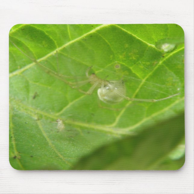 Little Spider Mousepad Musmatta (Framsidan)