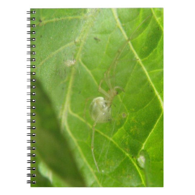 Little Spider Notebook Anteckningsbok (Framsidan)