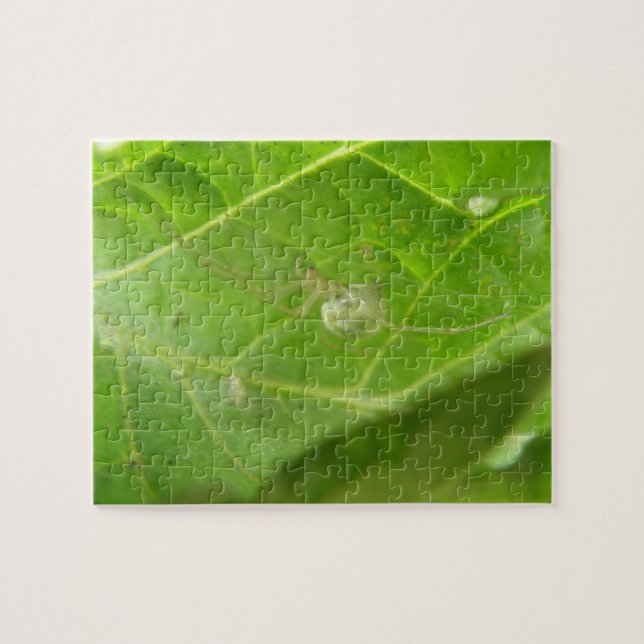 Little Spider Puzzle Pussel (Horisontell)