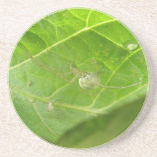 Little Spider Underlägg (Framsidan)