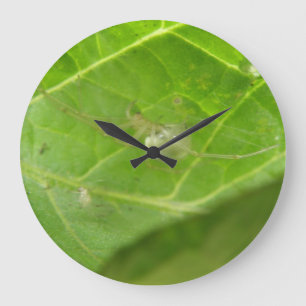 Little Spider Wall Clock Stor Klocka