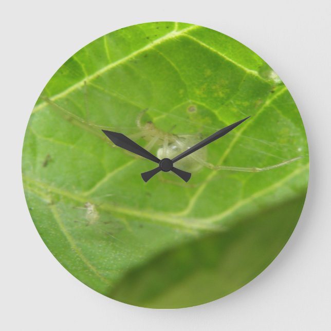 Little Spider Wall Clock Stor Klocka (Framsida)