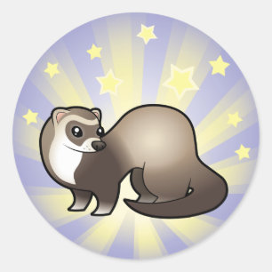 Little Star Ferret Runt Klistermärke
