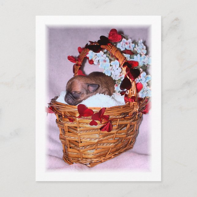 Little Surprises Vykort (Framsida)