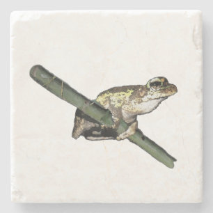 Little Träd Frog Oil Paint, Stone Underlägg