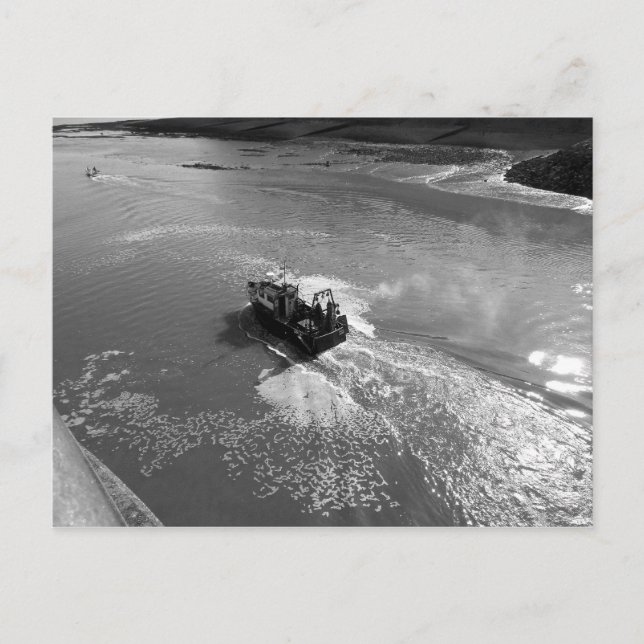 Little Trawler, Cardiff Bay Harbor - B&W Vykort (Framsida)