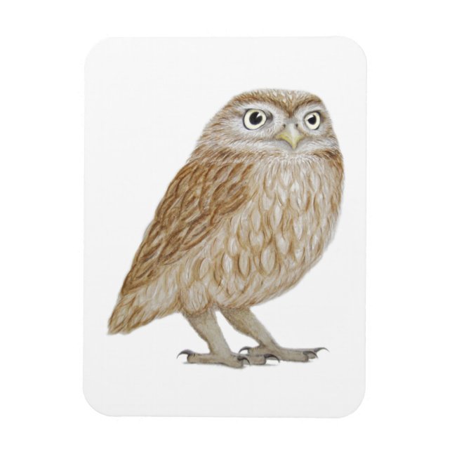 Little Uggla 2011 Magnet (Vertikal)