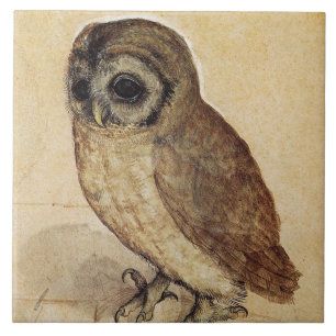 Little Uggla (av Albrecht Durer) Kakelplatta