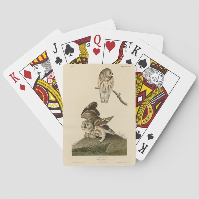 Little Uggla (Saw-whet) Audubon's Birds of America Casinokort (Baksidan)