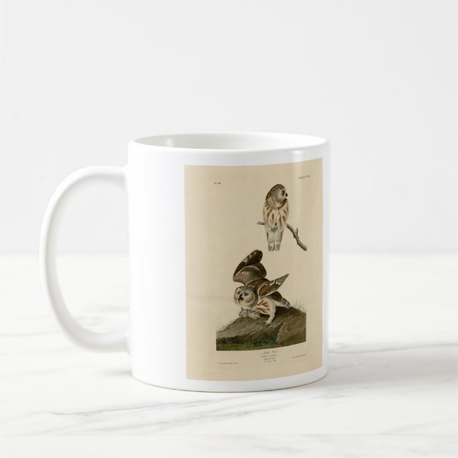 Little Uggla (Saw-whet) Audubon's Birds of America Kaffemugg (Vänster)