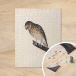 Little Uggla | William Lewin Pussel<br><div class="desc">Little Uggla (före 1790) | William Lewin's Little Uggla är en charmerande och exakt målning med ett litet brunt uggla på gren mot en minimalistisk bakgrund av neutralten. Bilderna fångar med underbar uppmärksamhet på detaljerna uggla:s uttryckliga gaze, mjuka fjädrar och kompakt form. Den enkla inställningen förstärker uggla naturskönhet, vilket återspeglar...</div>