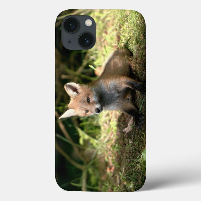 Little Unge Red Fox (Baksida)