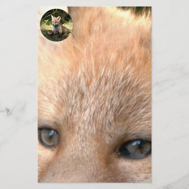 Little Unge Red Fox Brevpapper (Framsida)