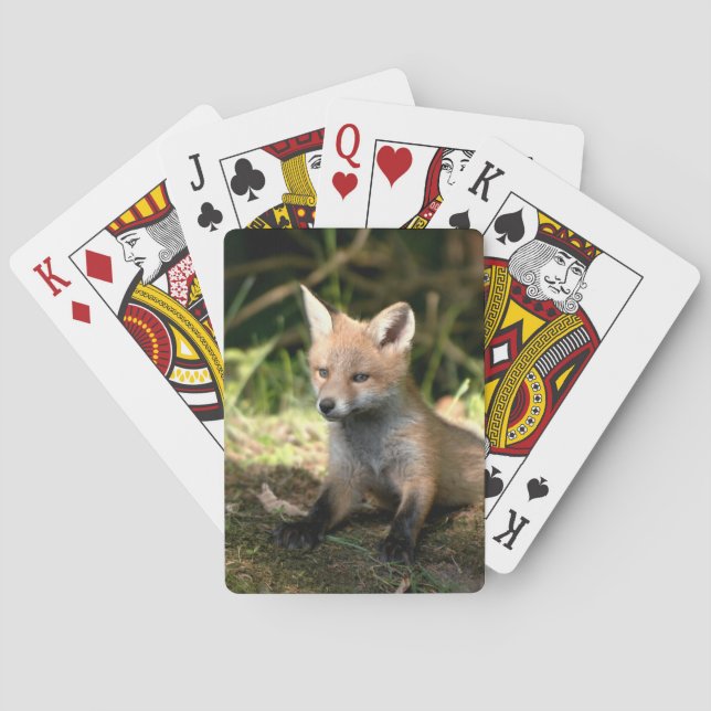 Little Unge Red Fox Casinokort (Baksidan)