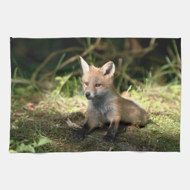 Little Unge Red Fox Kökshandduk (Horisontell)