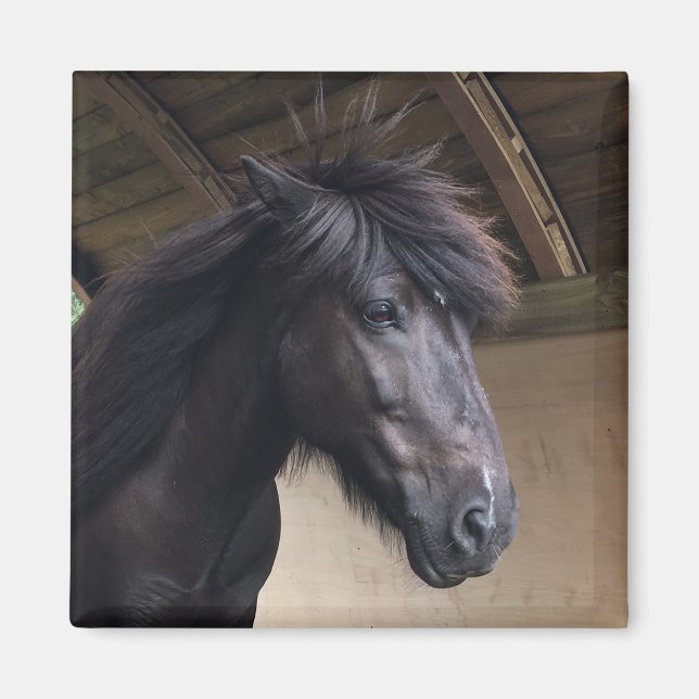 Little Viking Horse Noble Head Magnet (Framsidan)