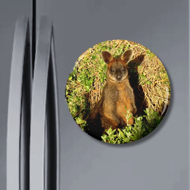 Little Wallaby Magnet (Skapare uppladdad)