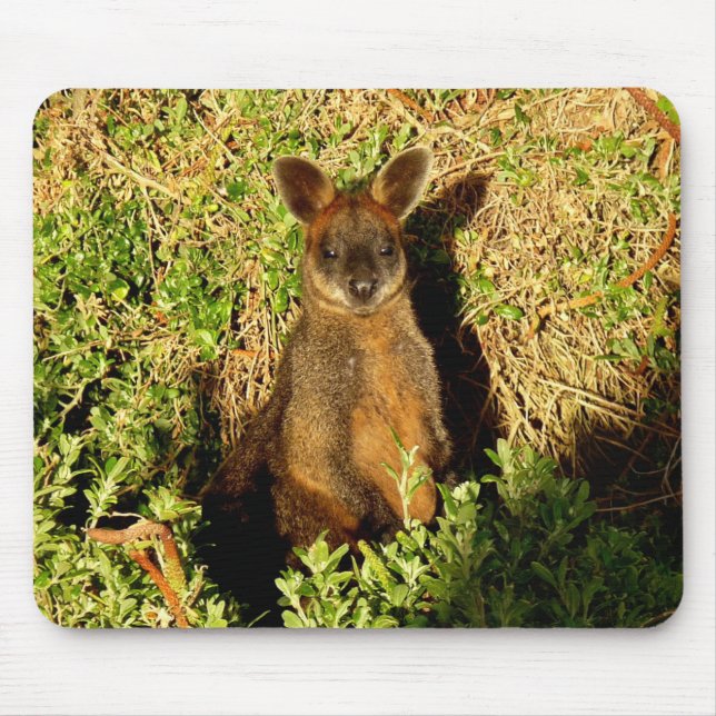 Little Wallaby Musmatta (Framsidan)