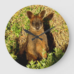 Little Wallaby Stor Klocka
