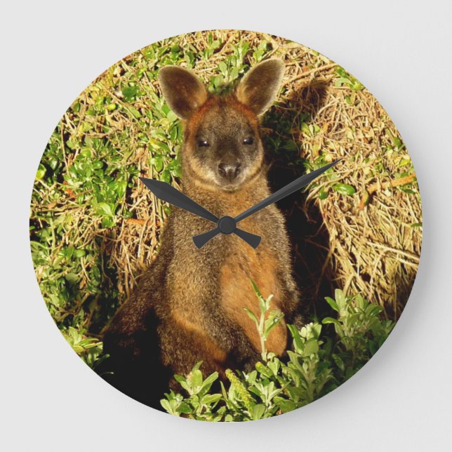 Little Wallaby Stor Klocka (Framsida)
