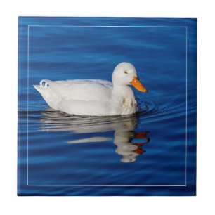 Little White Anka i Rippled Vatten Kakelplatta