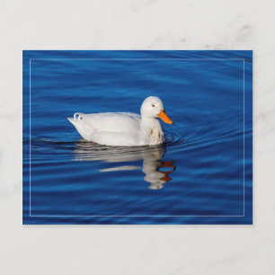 Little White Anka i Rippled Vatten Vykort