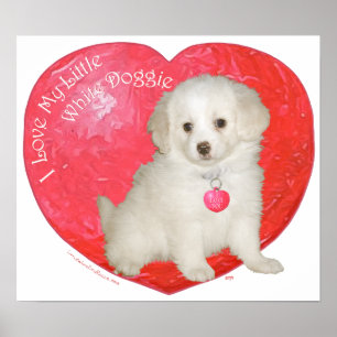 Little White Dog Rescue Alla Hjärtans Dag Poster
