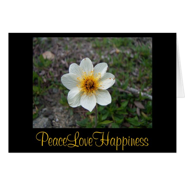 Little White Flower Hälsningskort (Framsidan Horizontal)